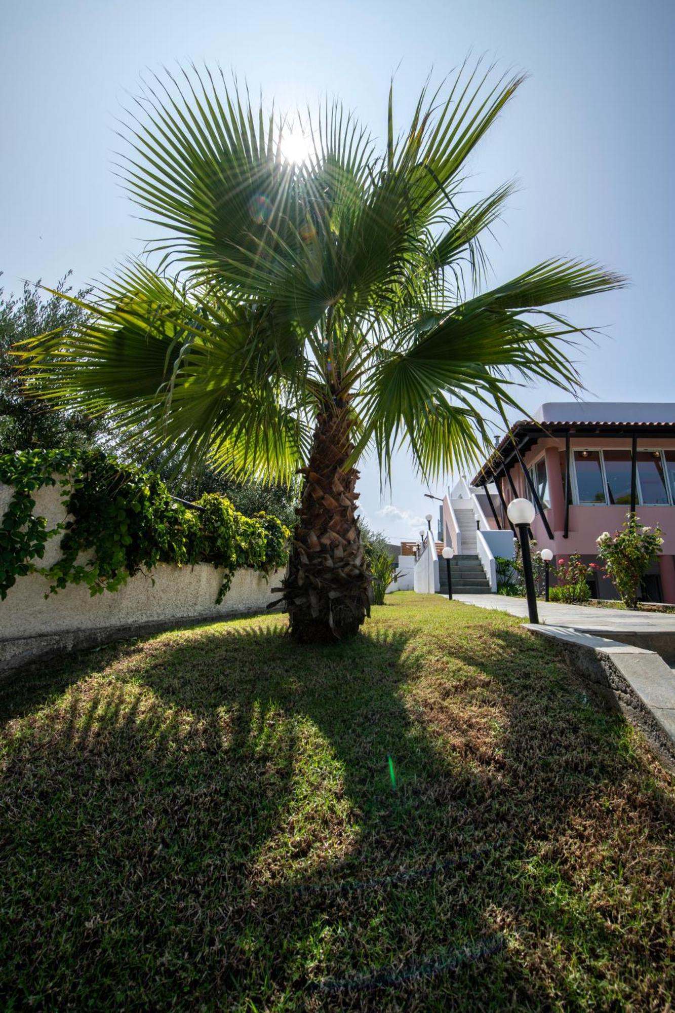 Villa Eleni 100M From The Sea Rapanianá 外观 照片